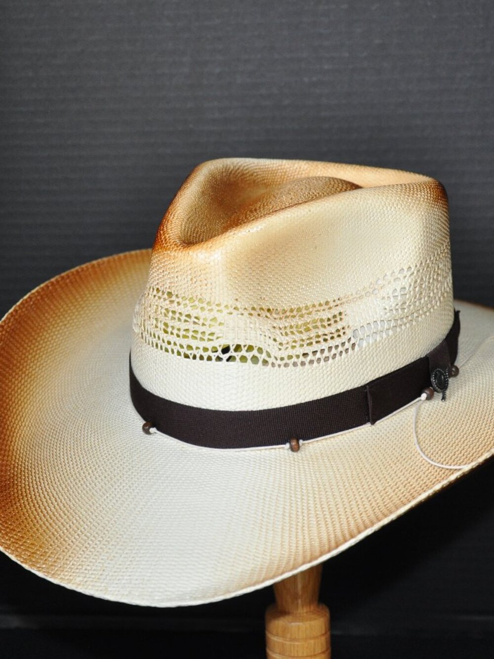 Charlie 1 Horse Good Horses